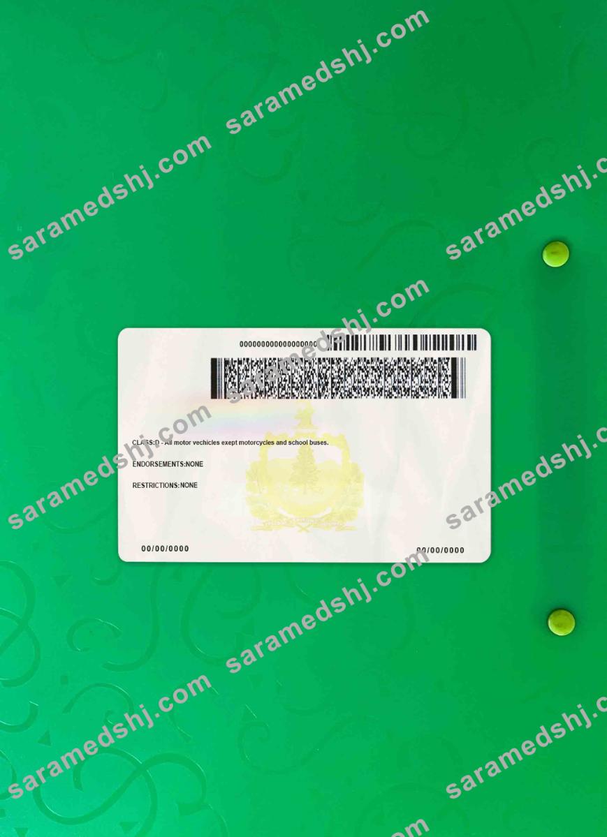USA Vermont driving license under 21 photolook BACK